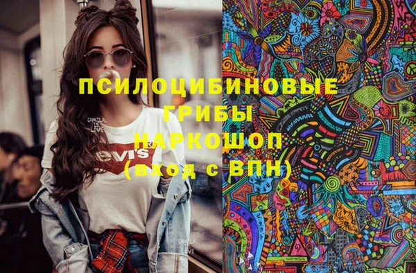 молекула духа Алексеевка