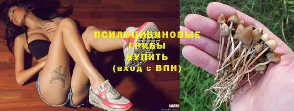 молекула духа Алексеевка