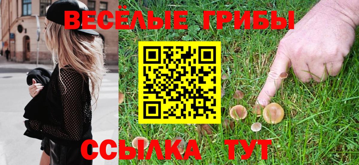 Углич  цены наркотик  Псилоцибиновые грибы Cubensis  Вход с VPN  Псилоцибиновые грибы ЛСД 