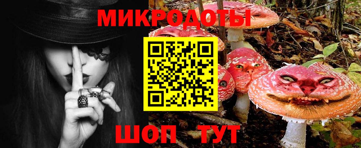 Псилоцибиновые грибы Psilocybe Углич