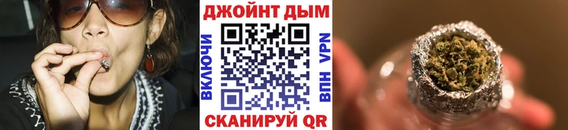 Конопля сатива  Углич 